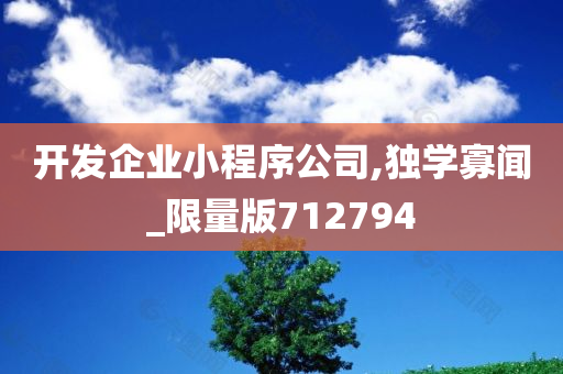 开发企业小程序公司,独学寡闻_限量版712794