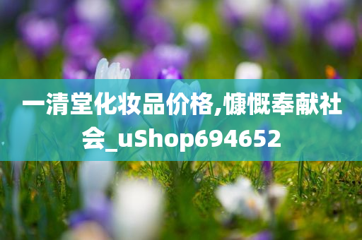 一清堂化妆品价格,慷慨奉献社会_uShop694652