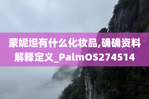 蒙妮坦有什么化妆品,确确资料解释定义_PalmOS274514