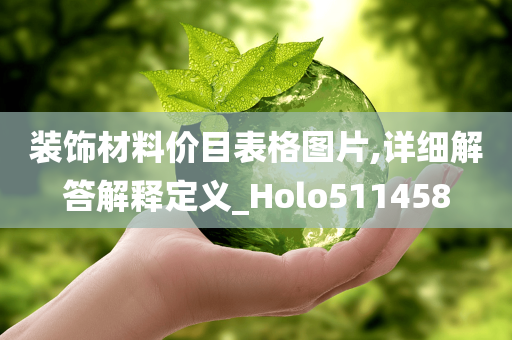 装饰材料价目表格图片,详细解答解释定义_Holo511458