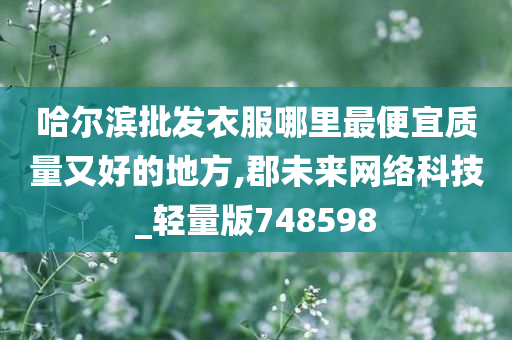 哈尔滨批发衣服哪里最便宜质量又好的地方,郡未来网络科技_轻量版748598