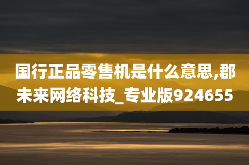 国行正品零售机是什么意思,郡未来网络科技_专业版924655