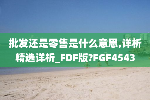 批发还是零售是什么意思,详析精选详析_FDF版?FGF4543