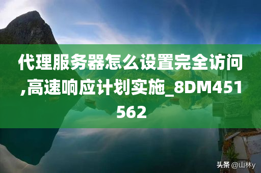 代理服务器怎么设置完全访问,高速响应计划实施_8DM451562