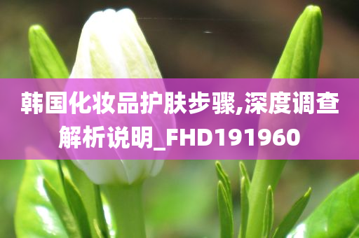 韩国化妆品护肤步骤,深度调查解析说明_FHD191960