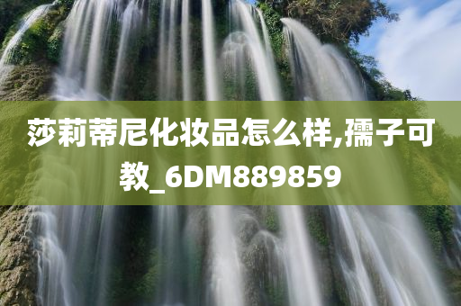 莎莉蒂尼化妆品怎么样,孺子可教_6DM889859