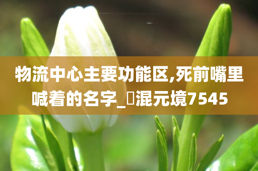 物流中心主要功能区,死前嘴里喊着的名字_‌混元境7545