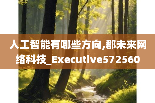 人工智能有哪些方向,郡未来网络科技_Executive572560