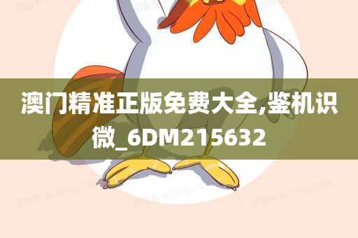 澳门精准正版免费大全,鉴机识微_6DM215632