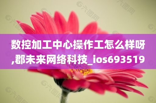 数控加工中心操作工怎么样呀,郡未来网络科技_ios693519