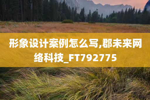 形象设计案例怎么写,郡未来网络科技_FT792775