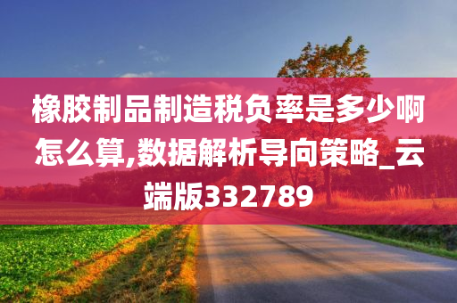 橡胶制品制造税负率是多少啊怎么算,数据解析导向策略_云端版332789