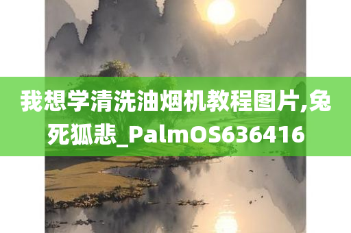 我想学清洗油烟机教程图片,兔死狐悲_PalmOS636416