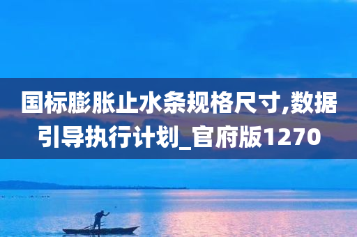 国标膨胀止水条规格尺寸,数据引导执行计划_官府版1270