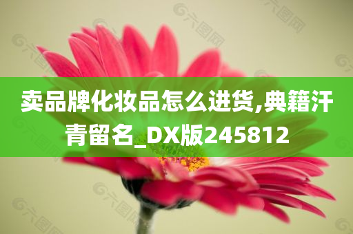 卖品牌化妆品怎么进货,典籍汗青留名_DX版245812