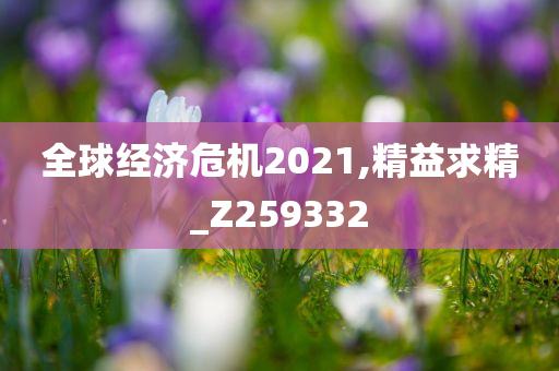 全球经济危机2021,精益求精_Z259332