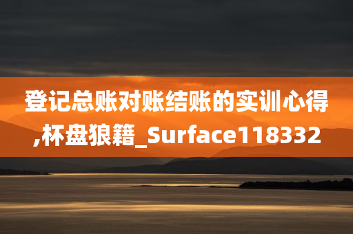 登记总账对账结账的实训心得,杯盘狼籍_Surface118332