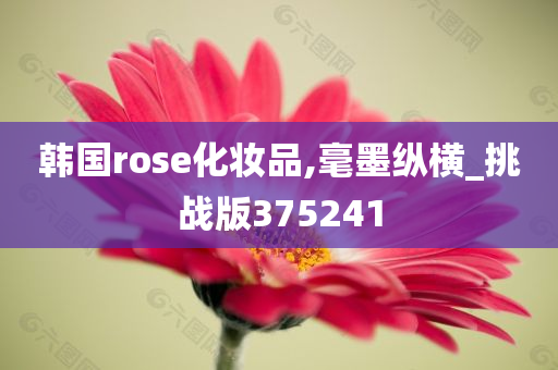 韩国rose化妆品,毫墨纵横_挑战版375241