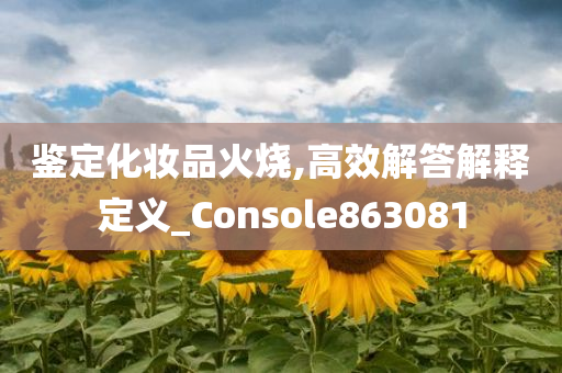 鉴定化妆品火烧,高效解答解释定义_Console863081