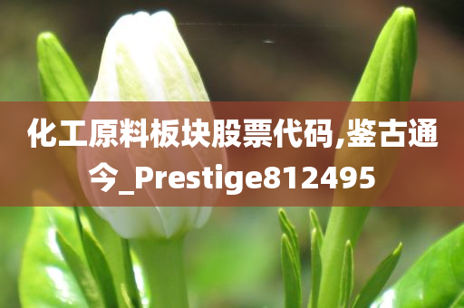 化工原料板块股票代码,鉴古通今_Prestige812495