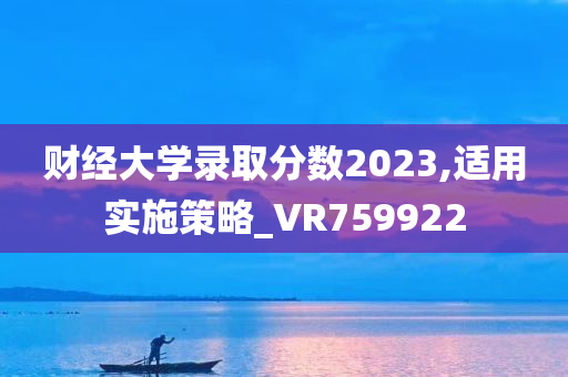 财经大学录取分数2023,适用实施策略_VR759922