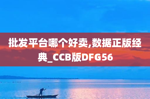 批发平台哪个好卖,数据正版经典_CCB版DFG56