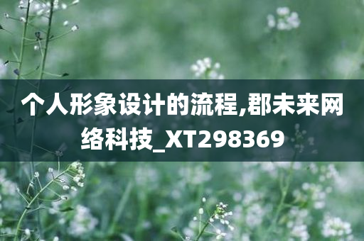 个人形象设计的流程,郡未来网络科技_XT298369