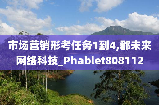 市场营销形考任务1到4,郡未来网络科技_Phablet808112