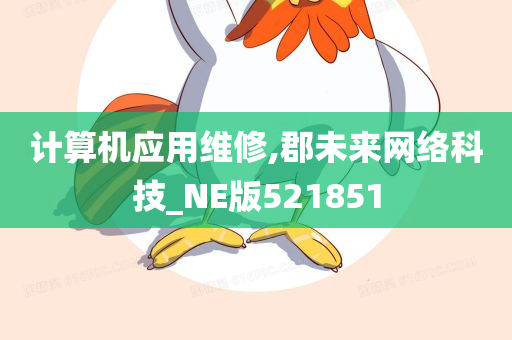 计算机应用维修,郡未来网络科技_NE版521851