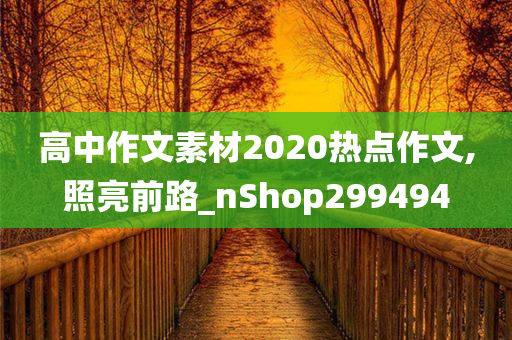 高中作文素材2020热点作文,照亮前路_nShop299494