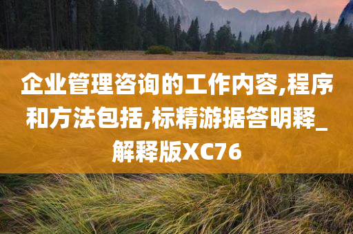 企业管理咨询的工作内容,程序和方法包括,标精游据答明释_解释版XC76