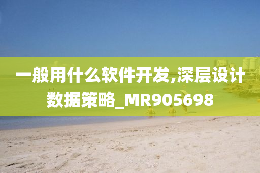 一般用什么软件开发,深层设计数据策略_MR905698