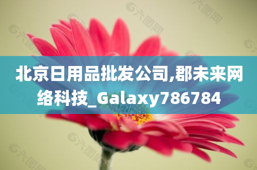 北京日用品批发公司,郡未来网络科技_Galaxy786784