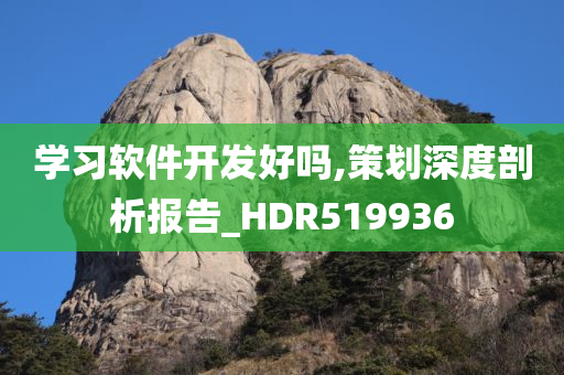 学习软件开发好吗,策划深度剖析报告_HDR519936