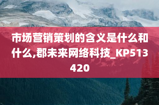 市场营销策划的含义是什么和什么,郡未来网络科技_KP513420