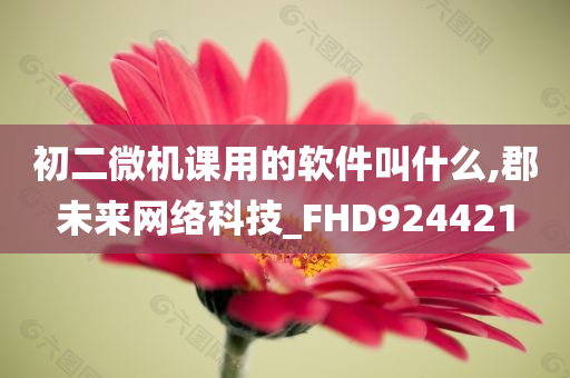 初二微机课用的软件叫什么,郡未来网络科技_FHD924421