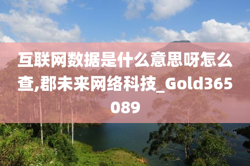 互联网数据是什么意思呀怎么查,郡未来网络科技_Gold365089