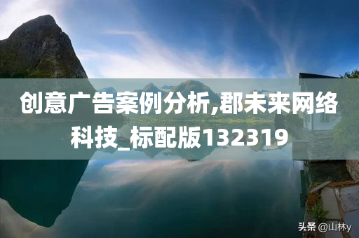 创意广告案例分析,郡未来网络科技_标配版132319