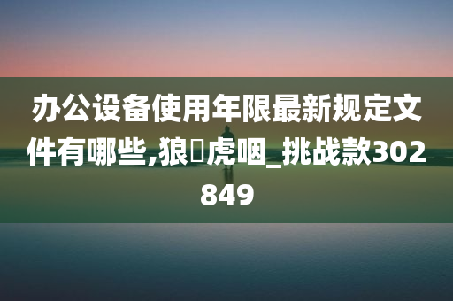 办公设备使用年限最新规定文件有哪些,狼飡虎咽_挑战款302849