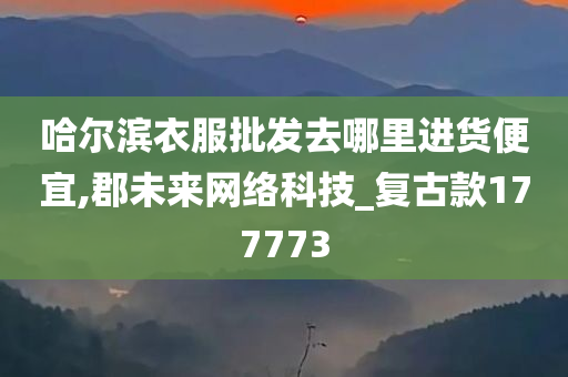 哈尔滨衣服批发去哪里进货便宜,郡未来网络科技_复古款177773