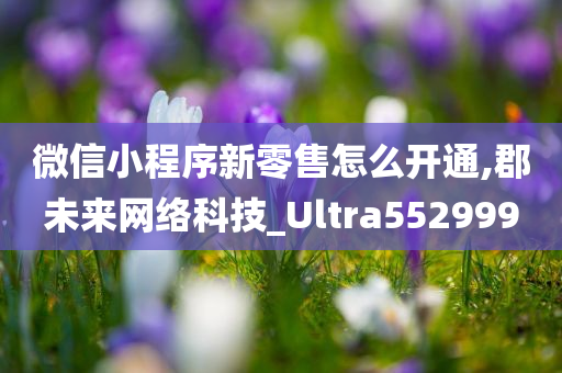 微信小程序新零售怎么开通,郡未来网络科技_Ultra552999