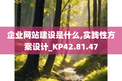 企业网站建设是什么,实践性方案设计_KP42.81.47