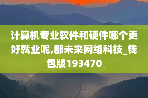 计算机专业软件和硬件哪个更好就业呢,郡未来网络科技_钱包版193470