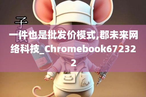 一件也是批发价模式,郡未来网络科技_Chromebook672322