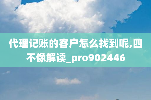 代理记账的客户怎么找到呢,四不像解读_pro902446