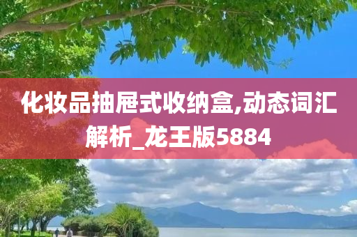 化妆品抽屉式收纳盒,动态词汇解析_龙王版5884