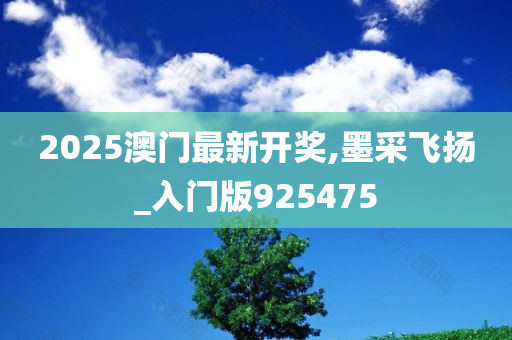 2025澳门最新开奖,墨采飞扬_入门版925475