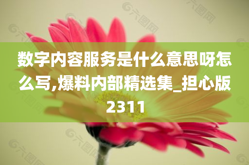 数字内容服务是什么意思呀怎么写,爆料内部精选集_担心版2311