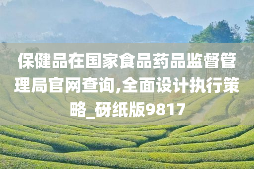 保健品在国家食品药品监督管理局官网查询,全面设计执行策略_砑纸版9817