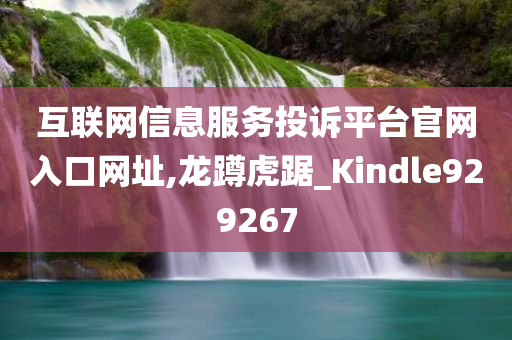 互联网信息服务投诉平台官网入口网址,龙蹲虎踞_Kindle929267